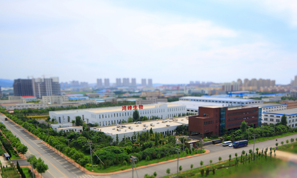 1507794842403746.png 圖片1.png