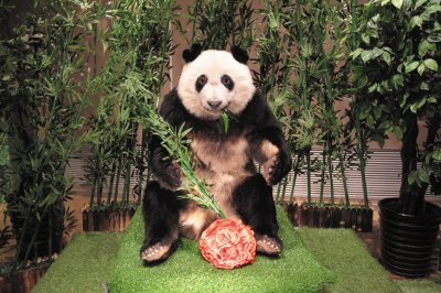 1519714812906907.jpg res08_attpic_brief.jpg