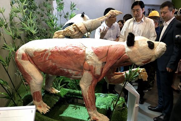 1524708458382160.jpg 001.jpg