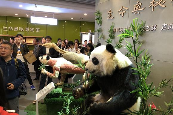 1524708482121506.jpg 002.jpg