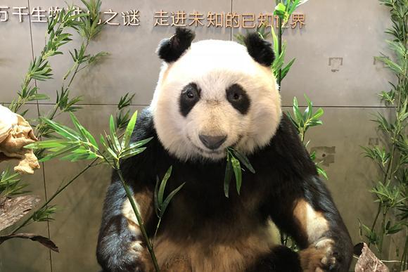 1524708509963291.jpg 003.jpg