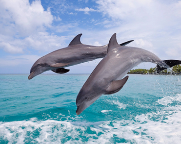 1536824172735419.png image.png