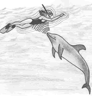 1536824313235054.png image.png