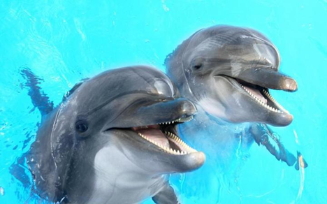 1536824465193876.png image.png