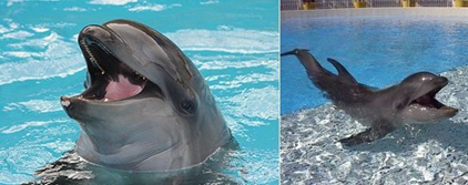 1536824607353892.png image.png