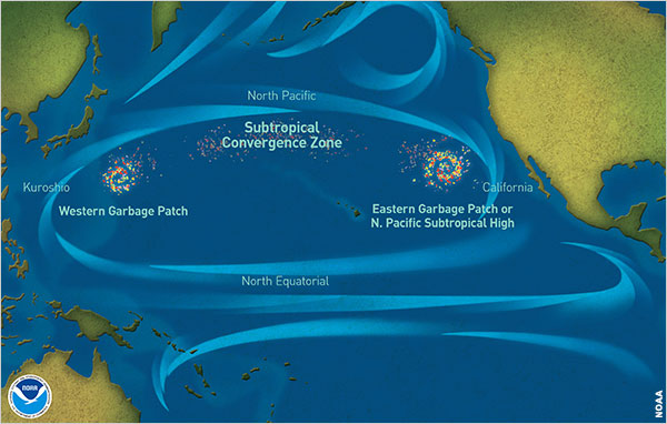 1537157745384937.jpg 1.jpg