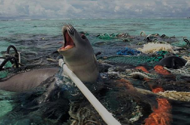 1537159896705432.jpg 6.jpg