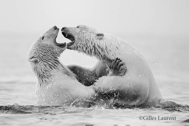 1537167674549365.jpg 1.jpg