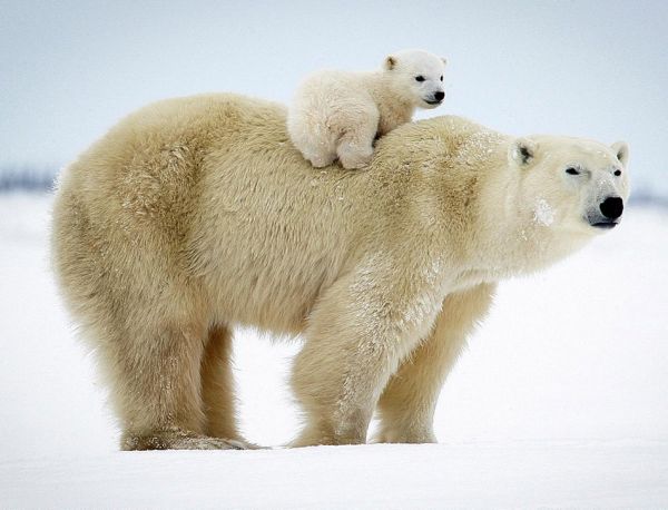 1537167783637838.jpg 2.jpg