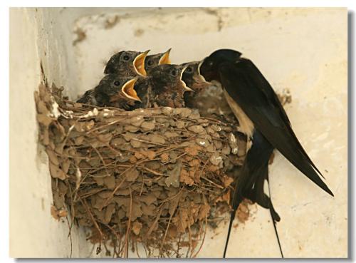 1537338820199472.jpg 8.jpg