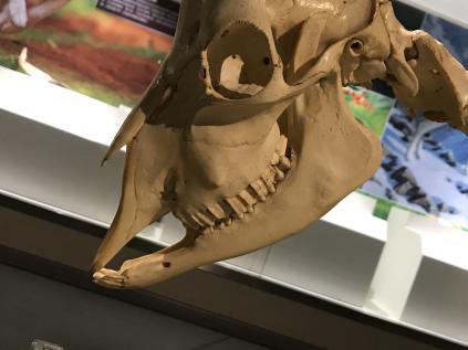 1537343707355051.jpg 4.jpg