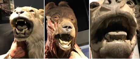 1537343817555196.jpg 1.jpg