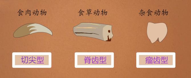 1537344062495470.jpg 6.jpg