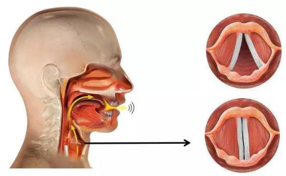 1537411374542683.jpg 4.jpg