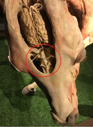 1537411435797062.jpg 7.jpg