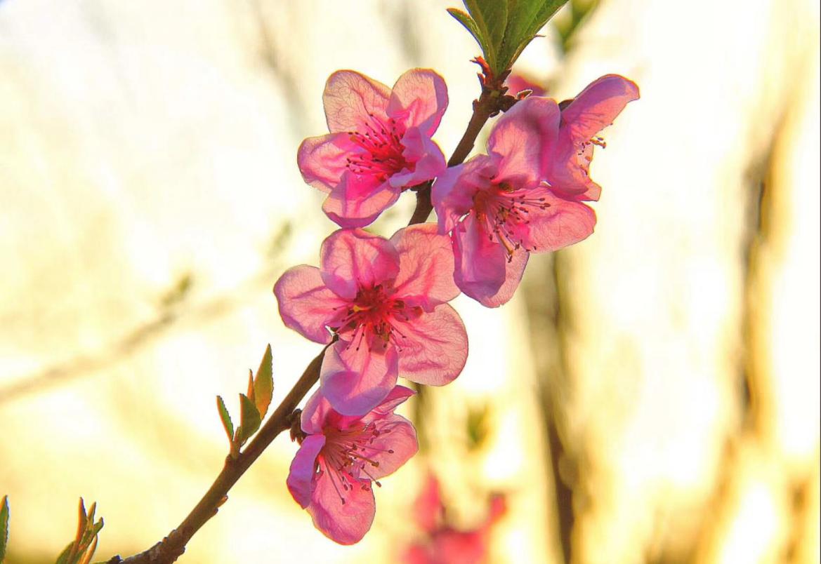 1537413099549556.jpg 1.jpg