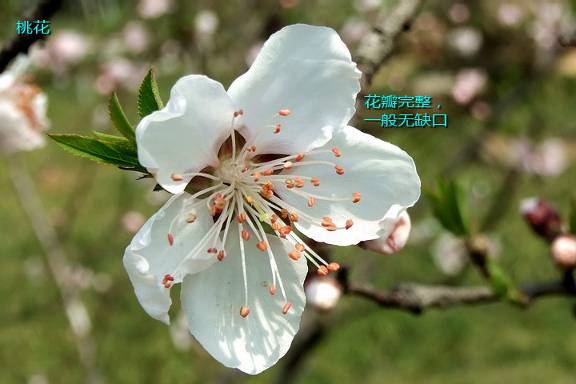 1537413308387247.jpg 4.jpg