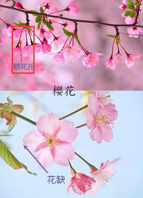 1537413435394930.jpg 5.jpg