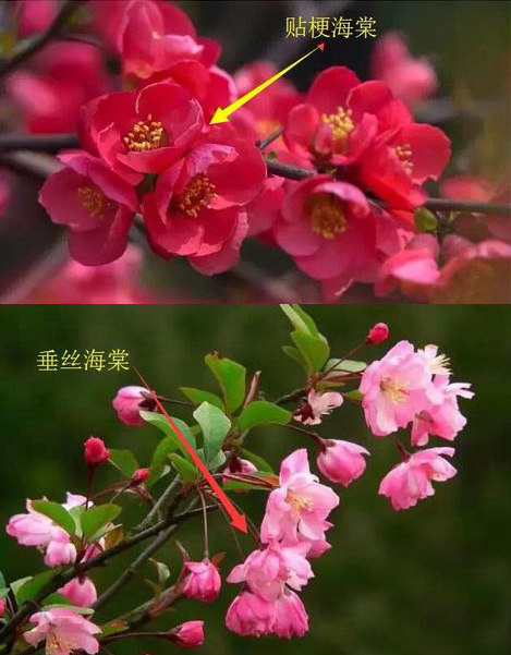 1537413480954554.jpg 7.jpg