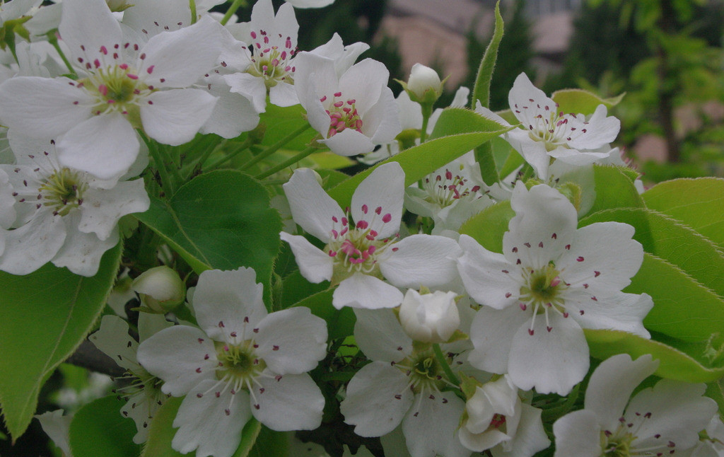 1537413646631601.jpg 8.jpg