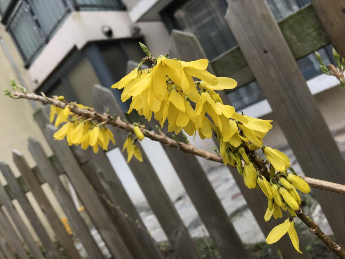 1537413734612358.jpg 1.jpg