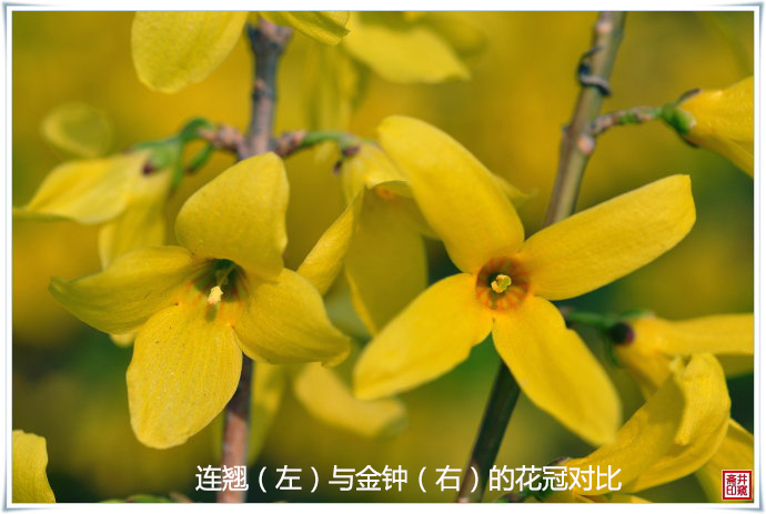 1537413821292701.jpg 2.jpg