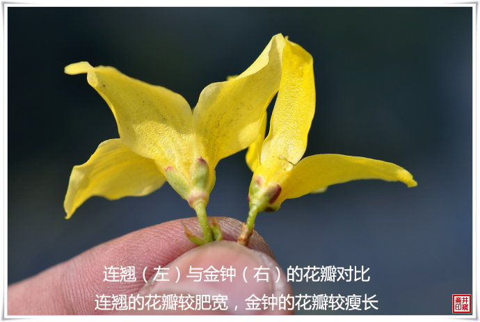 1537413893944883.jpg 3.jpg