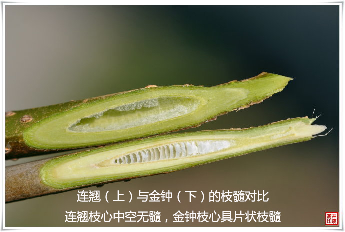 1537413922564119.jpg 4.jpg