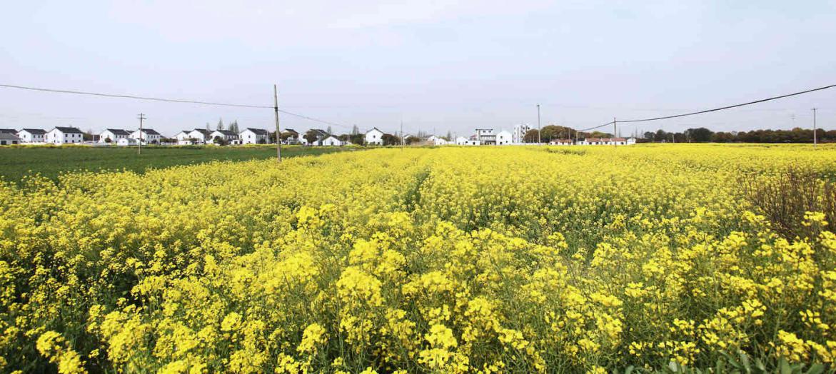 1537414357690095.jpg 5.jpg