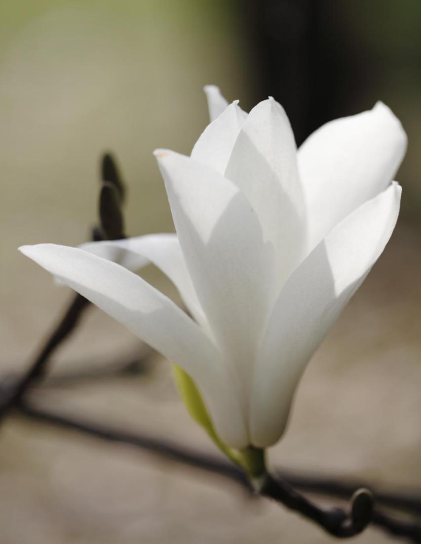 1537414595829376.jpg 6.jpg