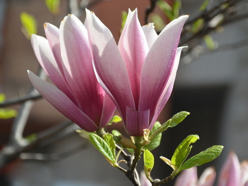 1537414772495660.jpg 8.jpg