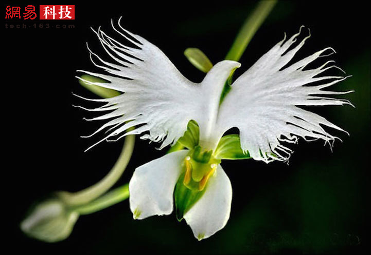 1537414956884507.jpg 9.jpg