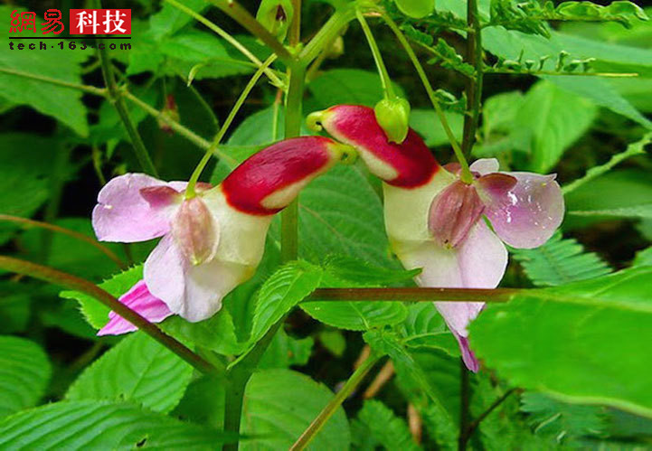 1537415099253451.jpg 2.jpg