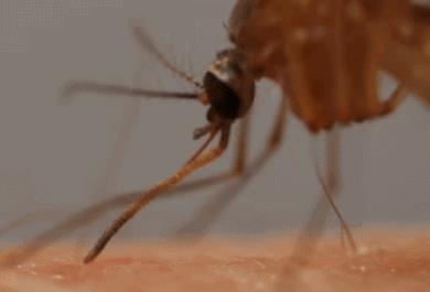 1537422317230923.jpg 1.jpg