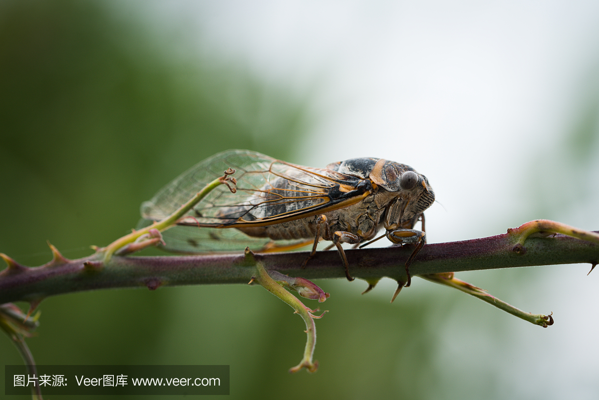 1539153549790513.jpg 2.jpg