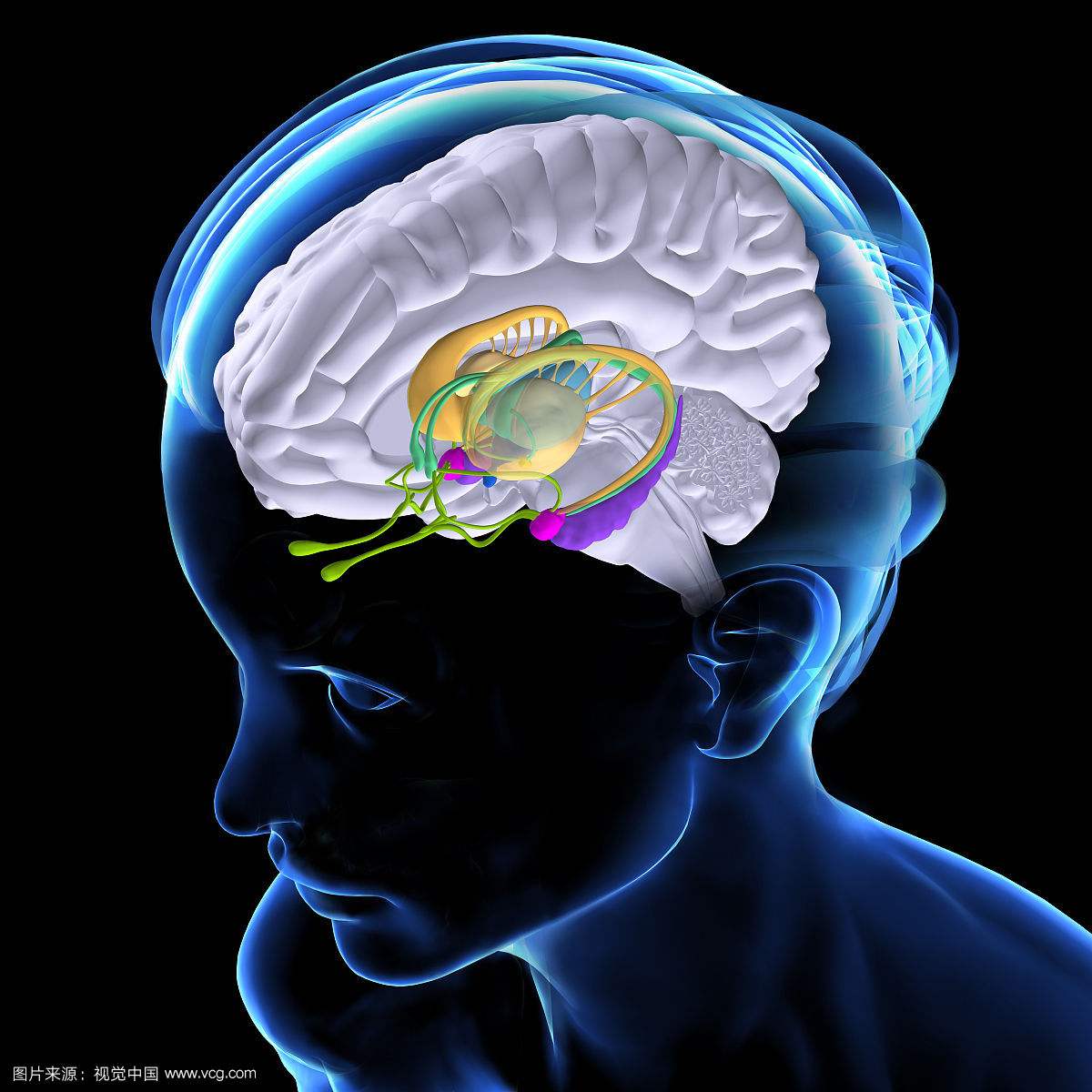 1539845590210342.jpg 1.jpg