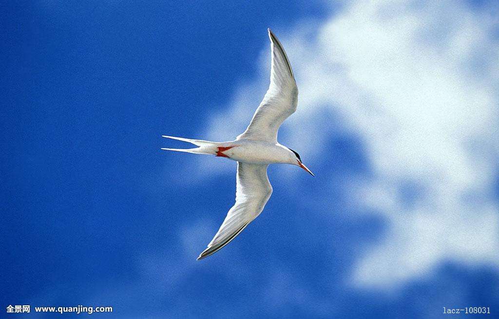 1539845840905872.jpg 3.jpg