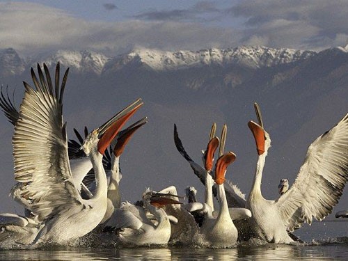 1543553970868901.jpg 1.jpg