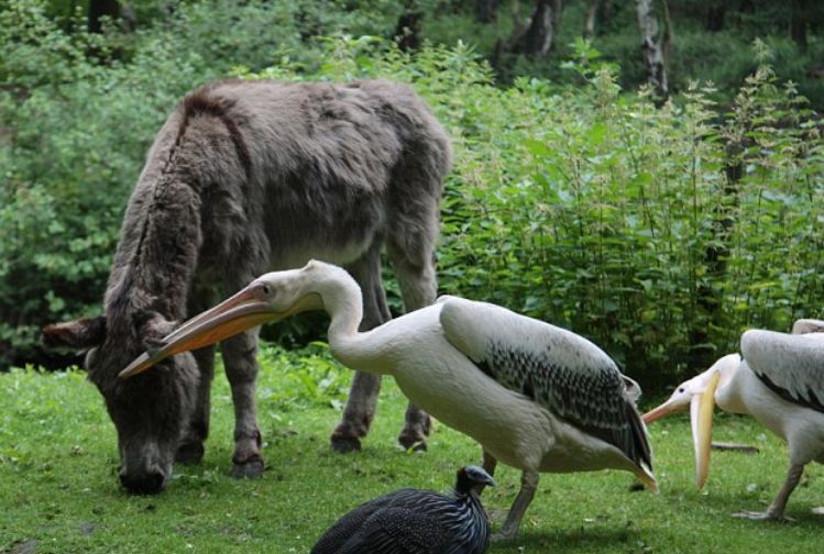 1543554066571131.jpg 12.jpg