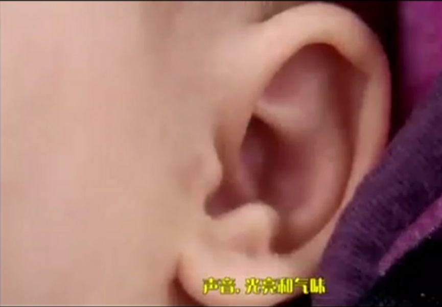 1544756860276652.png 1.png