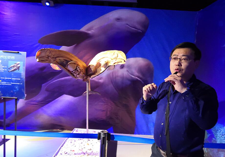 1545616930768095.jpg 0111.jpg