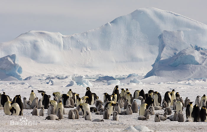 1552463658544671.jpg 011.jpg