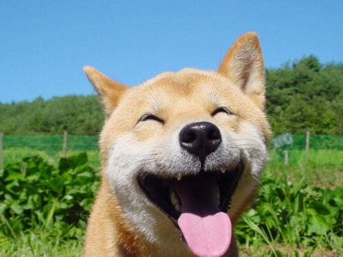 1556174294689004.jpg 006.jpg