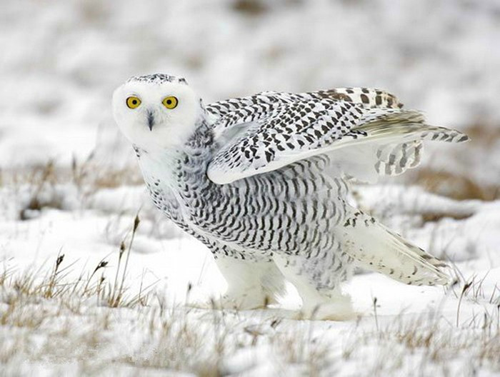 1557887084157612.png 5.png