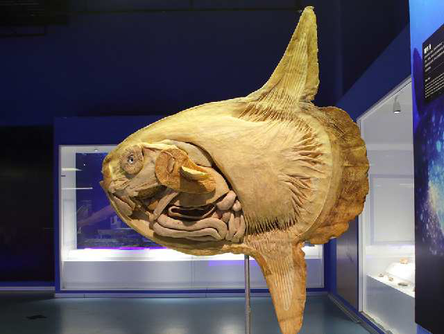 1559804334251251.png 002.png