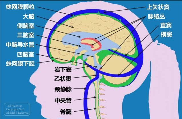 1562903023787413.jpg 5.jpg