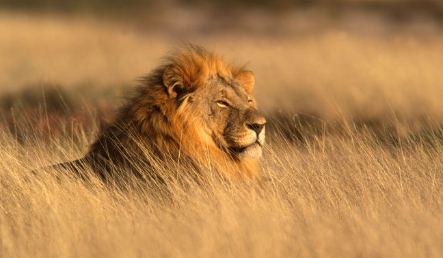 1570680280631640.jpg 0dd7912397dda144e24a4d6dbbb7d0a20df486a9.jpg