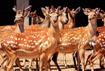 1574907746720173.jpg 配圖2.jpg