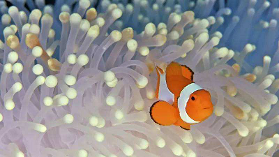 1575599320186555.png 圖片1.png