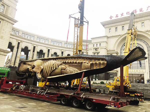 1590464828899008.jpg 01.jpg